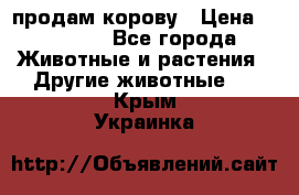 продам корову › Цена ­ 70 000 - Все города Животные и растения » Другие животные   . Крым,Украинка